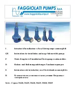 Faggiolati Pumps M420 Series Instructions For Installation Manual preview