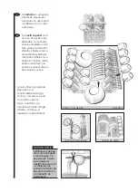 Preview for 40 page of Fagor 2LF 013 IX Installation Manual And Instructions For Use