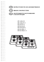 Preview for 1 page of Fagor 6FID-4GL X Instructions For Use And Maintanence