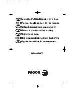 Fagor HM-480X USING Using Manual предпросмотр