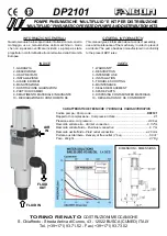 Preview for 1 page of Faicom DP2101 Quick Start Manual