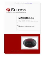 FALCOM MAMBO55 Hardware Description preview