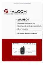 FALCOM MAMBOII User Manual preview