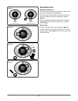 Предварительный просмотр 10 страницы Falcon 1000 Deluxe Dual Fuel User Manual