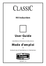 Falcon Classic DSL395 User Manual preview