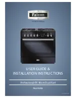 Falcon Professional+FX User'S Manual & Installation Instructions предпросмотр