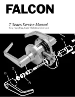 Falcon T Series Service Manual предпросмотр