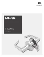 Falcon T101 Service Manual preview