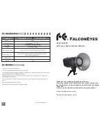 Falconeyes LPS-1000CTR Instruction Manual preview