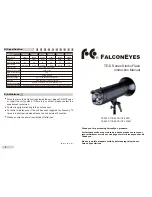 Falconeyes TE-300D Instruction Manual preview