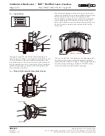 Preview for 4 page of FALK Steelflex T35 series Installation & Maintenance