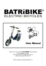 Fallowgate Limited Batribike User Manual предпросмотр