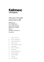 FALMEC DORA Instruction Booklet preview