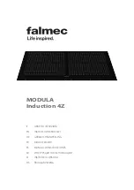 Preview for 45 page of FALMEC Modula M1 Instruction Booklet