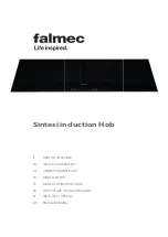 FALMEC Sintesi 90 Premium Instruction Booklet preview