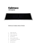 FALMEC Sintesi 90 Instruction Booklet preview