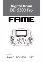 FAME DD-5500 PRO Manual preview