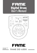 FAME DD 6500 User Manual preview