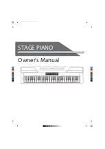 FAME DP-4000 Owner'S Manual предпросмотр