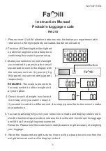 Famili FM-253 Instruction Manual preview