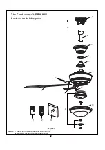 Предварительный просмотр 42 страницы Fanimation CAMHAVEN FP8094 Series Manual