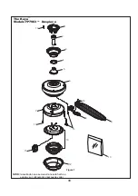 Предварительный просмотр 33 страницы Fanimation Kaya FP7963 Series Owner'S Manual