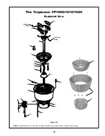 Предварительный просмотр 13 страницы Fanimation Tropicana FP1620 Owner'S Manual