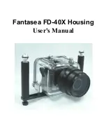 Fantasea FD-40X User Manual preview