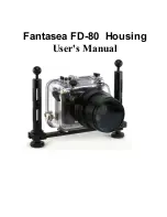 Fantasea FD-80 User Manual preview