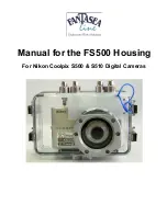 Fantasea FS500 Manual предпросмотр