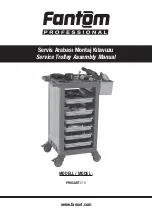 Preview for 1 page of Fantom Professional PROCART 210 Assembly Manual