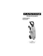 Fantom VPW49H Owner'S Manual preview