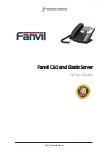 Fanvil C60 Setup Manual preview