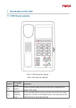 Preview for 19 page of Fanvil H3W Administration And User Manual