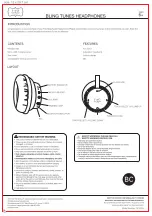 Preview for 1 page of FAO BLING TUNES Quick Start Manual