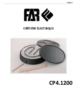 FAR CP4.1200 Manual предпросмотр