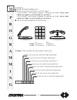 Preview for 12 page of FARFISA INTERCOMS FT 105P Installation, Programming, And  User'S Manual