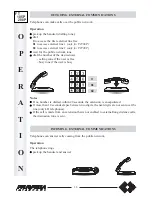 Preview for 22 page of FARFISA INTERCOMS FT 105P Installation, Programming, And  User'S Manual