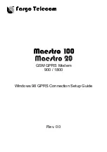 Preview for 1 page of Fargo Maestro 100 Setup Manual