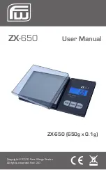 Fast Weigh Scales ZX-650 User Manual preview