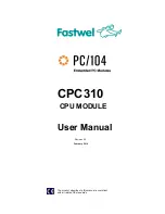 Fastwel CPC310 User Manual preview