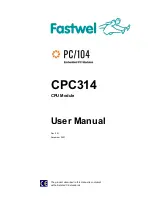 Fastwel CPC314 User Manual предпросмотр