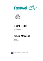 Fastwel CPC316 User Manual предпросмотр