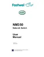 Fastwel NM350 User Manual предпросмотр