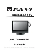 FAVI L1918A-V User Manual предпросмотр