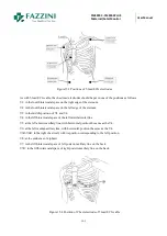 Предварительный просмотр 89 страницы Fazzini FM5000C User Manual