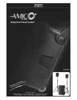 Fbt AMICO 10 USB User Manual preview