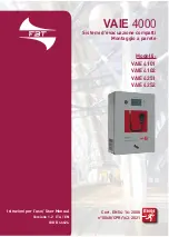 Fbt VAIE 4000 User Manual предпросмотр