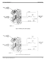 Preview for 21 page of FCI FLT93B Installation, Operation & Maintenance Manual