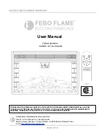 Febo Flame 0849060 User Manual preview